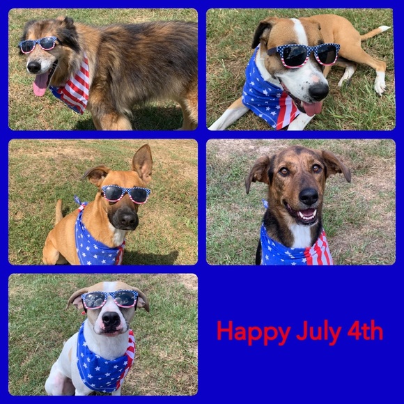 Meet your Posher, Rachel - Picture 2 of 8